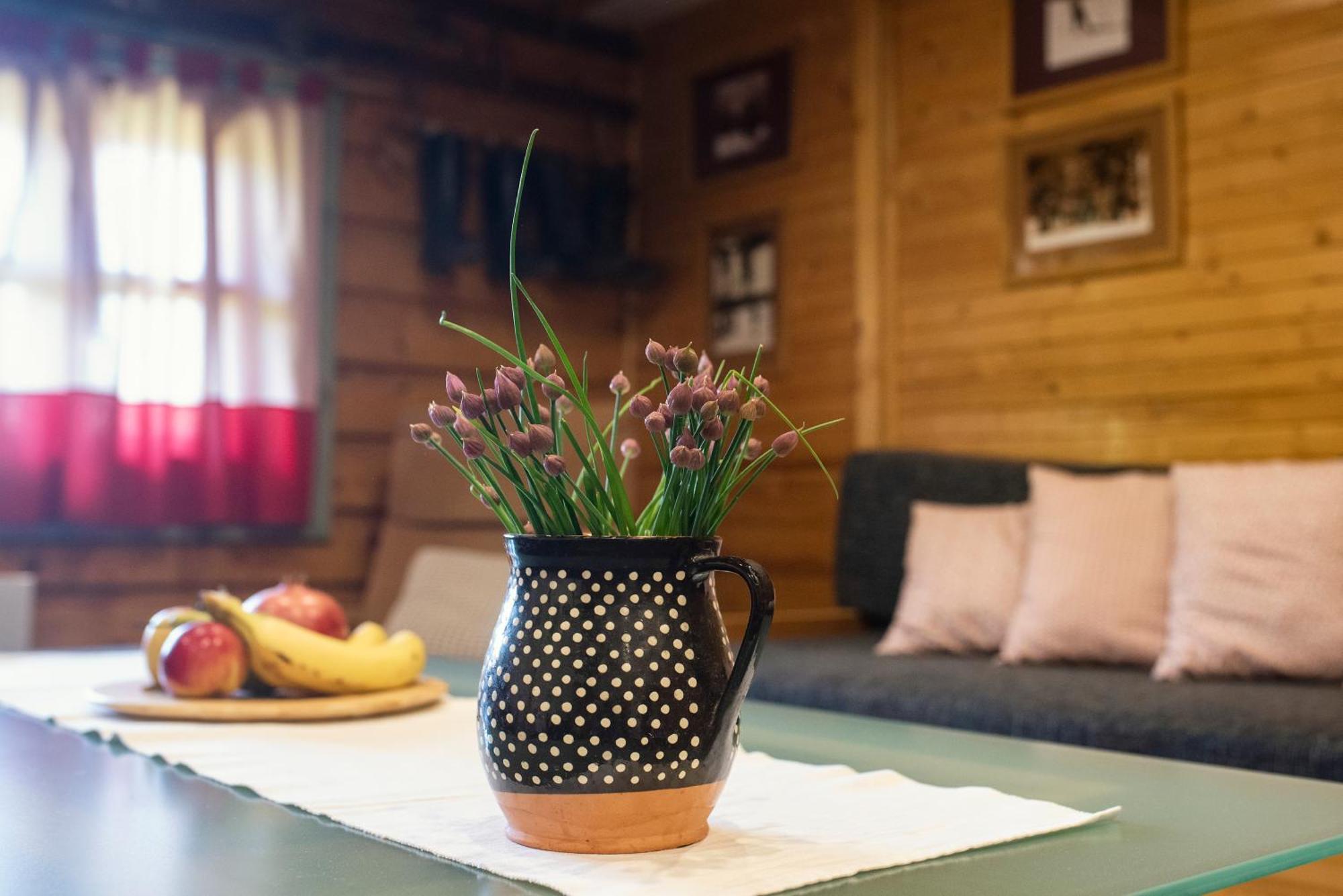 Chata Krajinka Ždiar Exteriér fotografie
